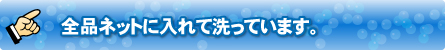全品ネットに入れて洗っています。